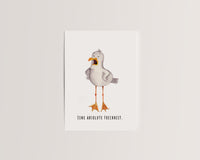 Eine absolute Frechheit. - Angstmöwe