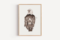 Wüstenadler in Aquarell - Kunstdruck