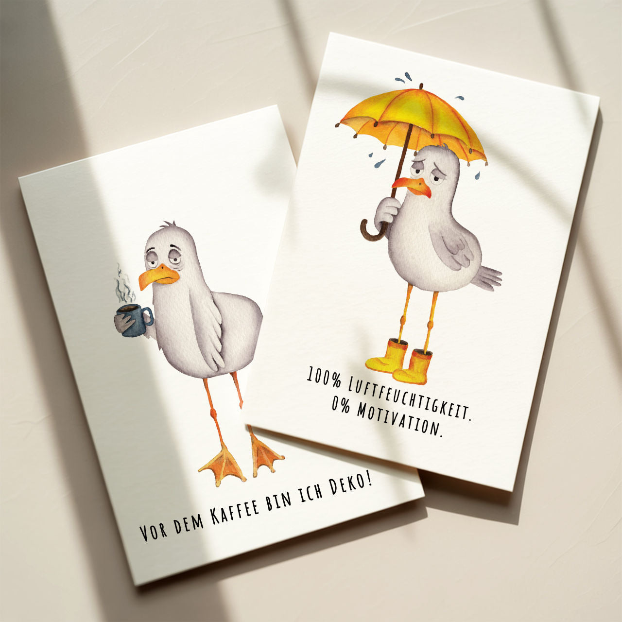 Möwe