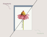 Blumige Grüße – Sonnenhut & Marienkäfer