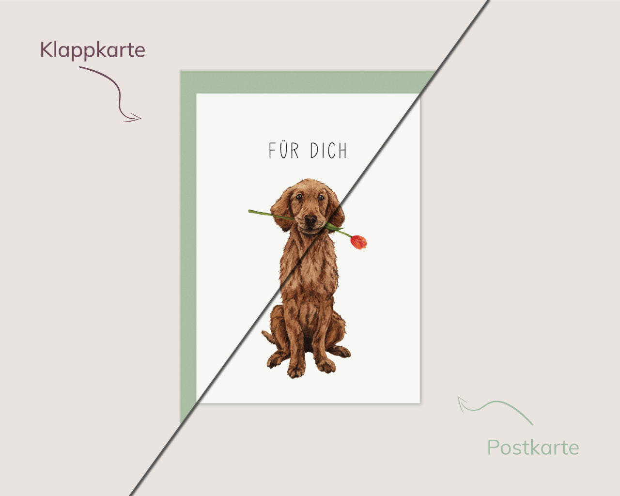 Für dich! – Retriever mit Tulpe