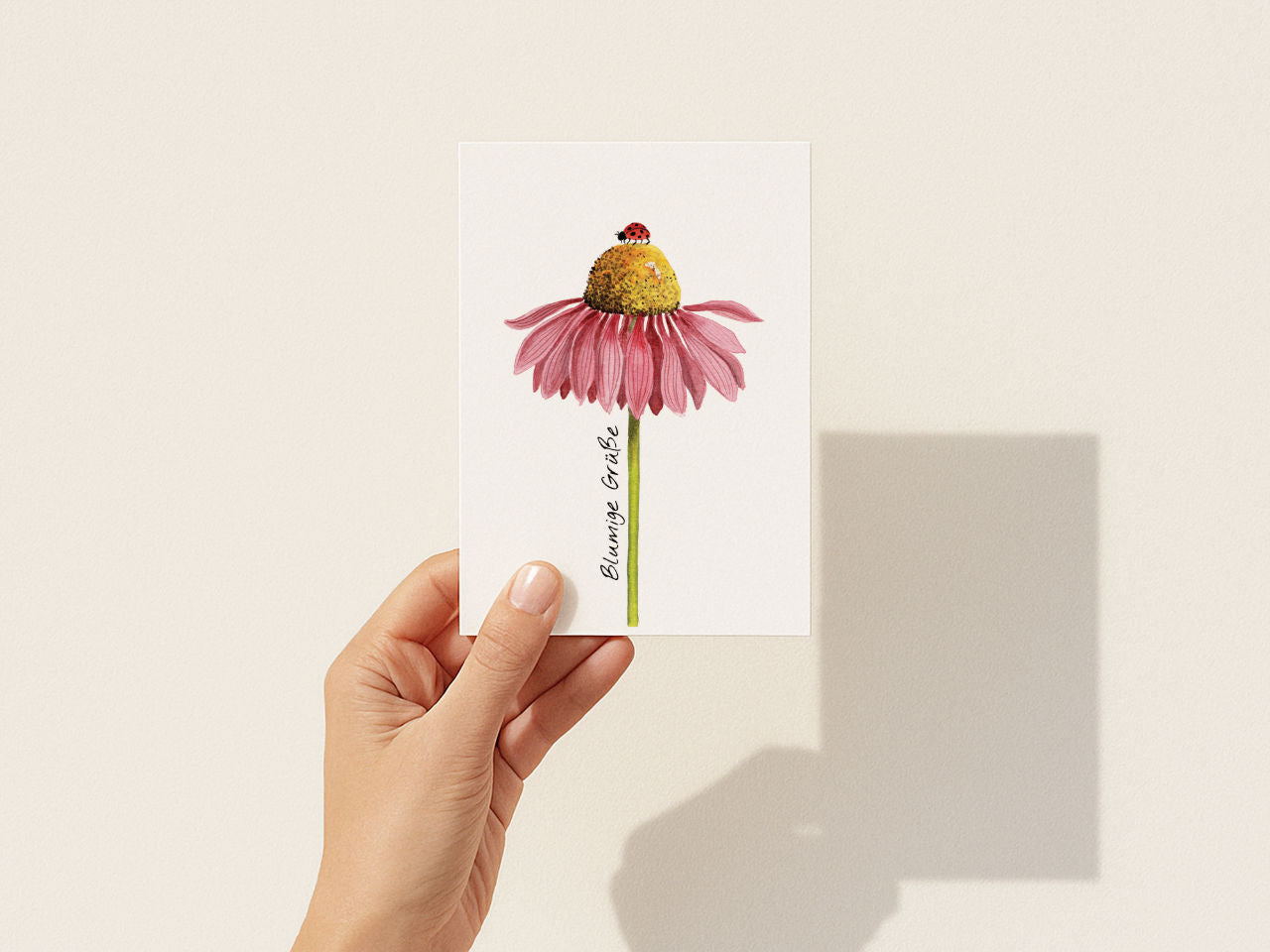 Blumige Grüße – Sonnenhut & Marienkäfer