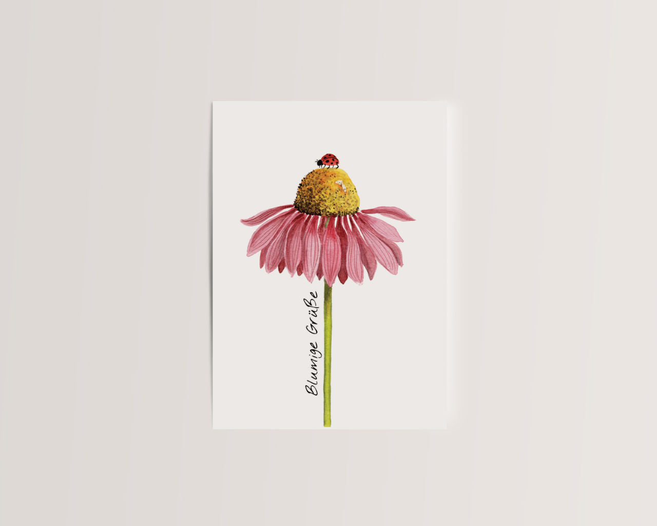 Blumige Grüße – Sonnenhut & Marienkäfer