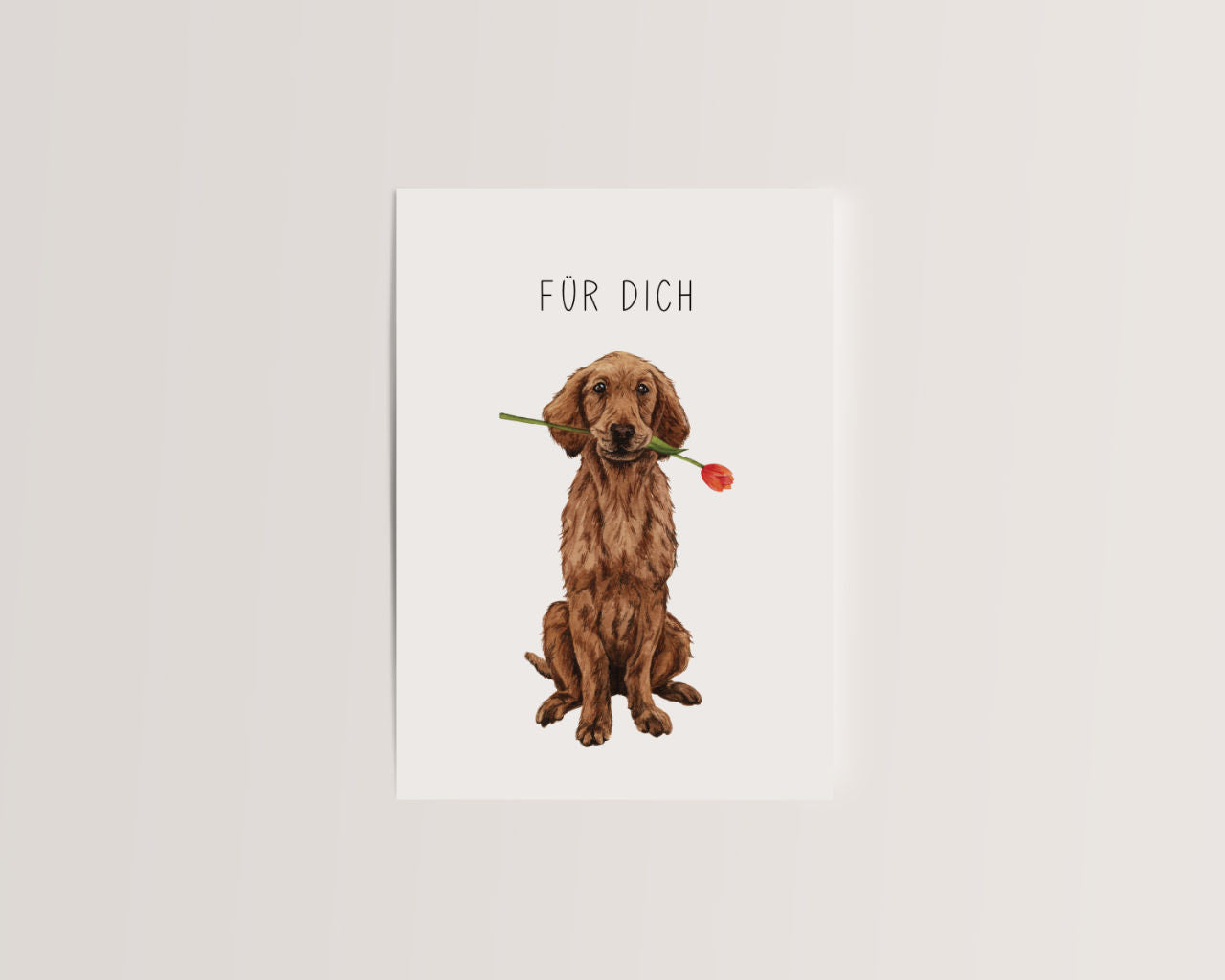 Für dich! – Retriever mit Tulpe