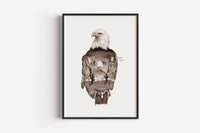 Wüstenadler in Aquarell - Kunstdruck
