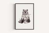 Braunbär in Aquarell - Kunstdruck