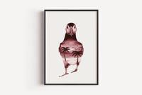 Papageientaucher in Aquarell - Kunstdruck