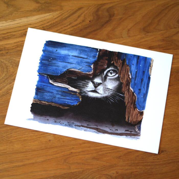 Kunstdruck Neugierige Katze – Bild 2